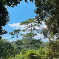 ～陽台山森林公園～自然的奇妙～