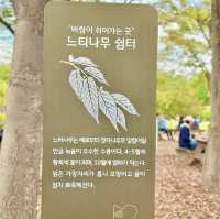 10월 축제 드림파크 국화축제