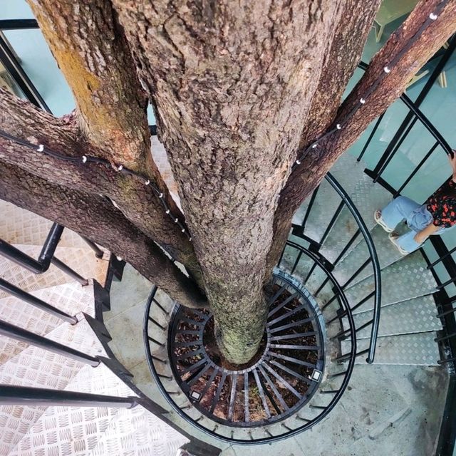 คาเฟ่สวนสวย 168 บ้านไร่ จ.ชัยภูมิ