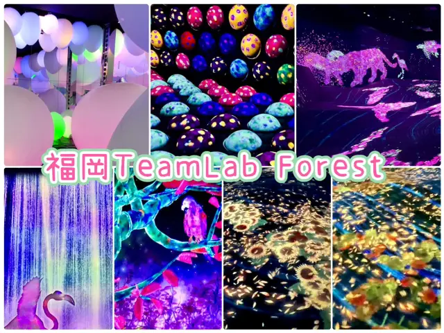 福岡TeamLab 森林-以森林為主題的沉浸式藝術展覧