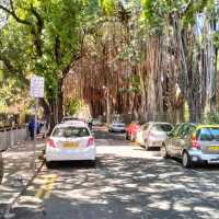 nice trip with Maurituis and Goa