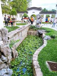 Exploring the Bonsai Garden in Singapore