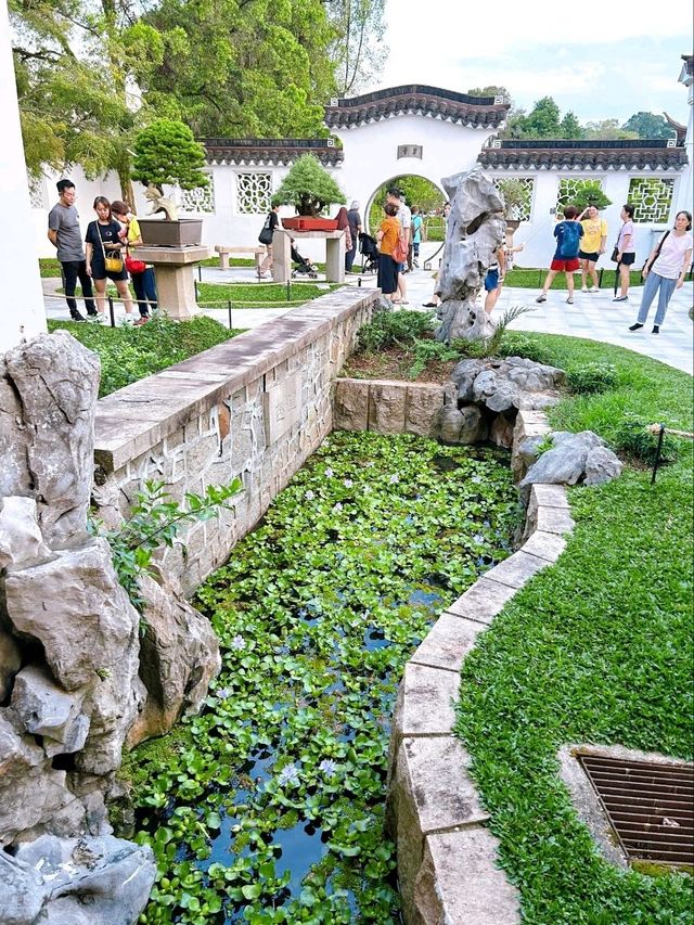 Exploring the Bonsai Garden in Singapore