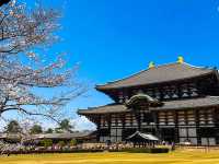 【奈良】迫力満点👏圧巻！奈良の東大寺の大仏様