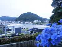 日本六月花海：靜岡縣免費景點