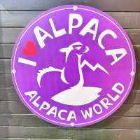 Alpaca world with plenty free roaming pets 