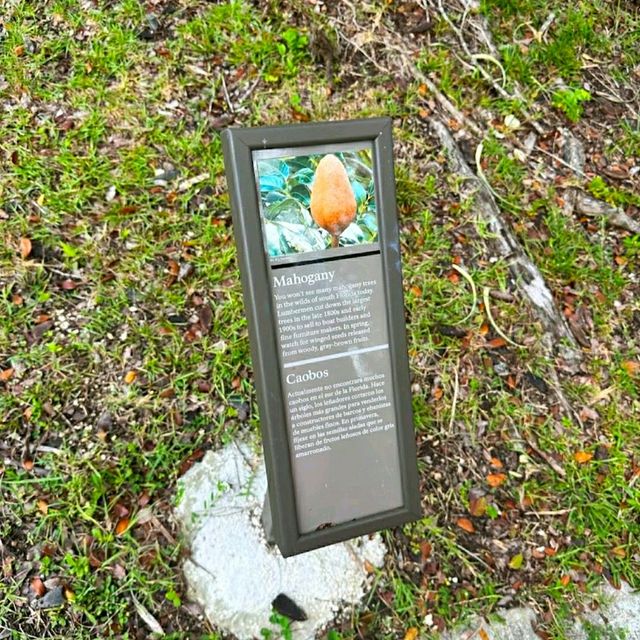 VISITING THE EVERGLADES NATIONAL PARK.