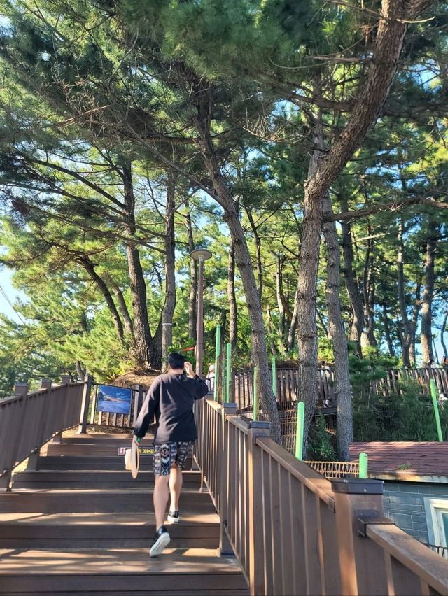 추암촛대바위를 즐긴다면 여기도 꼭🩵
