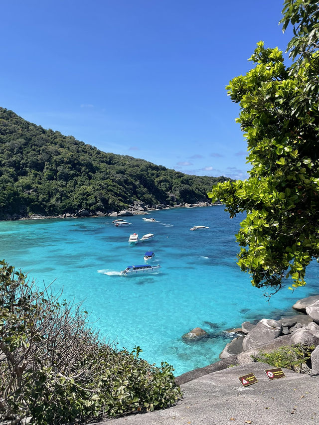 1 Day Trip หมู่เกาะสิมิลัน ทะเลสวยอันดามัน