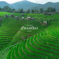 10ข้อควรรู้ ก่อนมาป่าบงเปียง 🌾⛰️🌧️