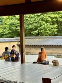 One Of The Most Famous Rock Gardens in Japan 🪨