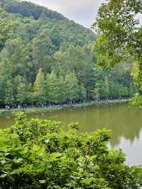 香港行山 – 蝴蝶飛舞+流水響聲 – 流水響和鶴藪水塘