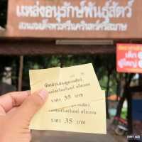 #หอมแดง #ลูกฮิปโป #สวนสัตว์ศรีสะเกษ 