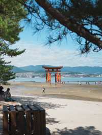 【広島観光】厳島神社のシンボル「大鳥居」⛩️