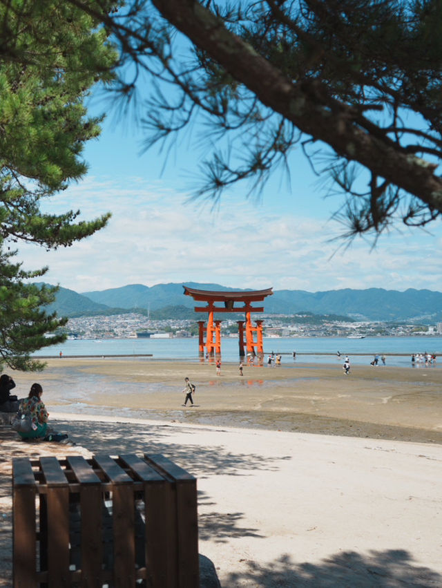 【広島観光】厳島神社のシンボル「大鳥居」⛩️