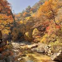 Nature’s best, Seoraksan