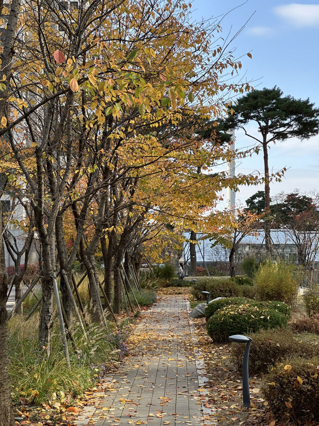 단지 중앙에 예쁜 단풍과 🌳 소담한 산책길을 경험할 수 있는 송파 공원 여행지 추천🍁