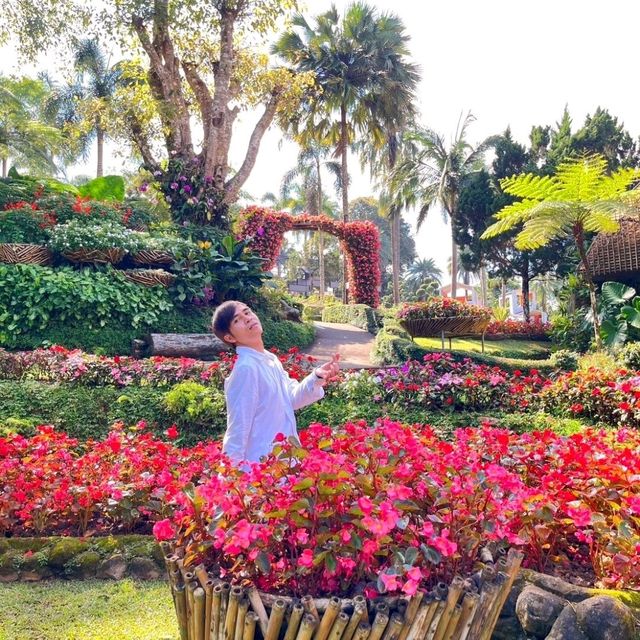 ชมดอกไม้สวย สวนแม่ฟ้าหลวง ดอยตุง