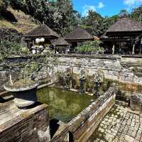 Mystical Goa Gajah: A Journey into Bali’s Ancient Past