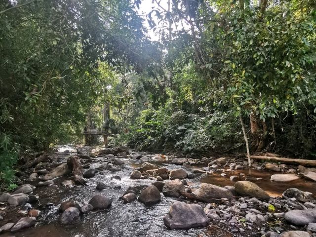 หลงเขา น่าน