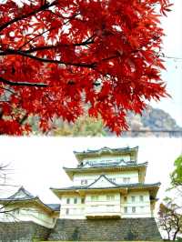 東京箱根🍁紅葉之旅🍁2天之行
