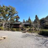 Usa Jingu Srineสมบัติของชาติญี่ปุ่น