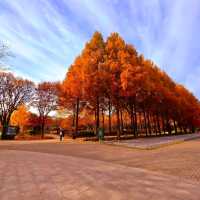 Seoul Forest (서울숲) – Seoul