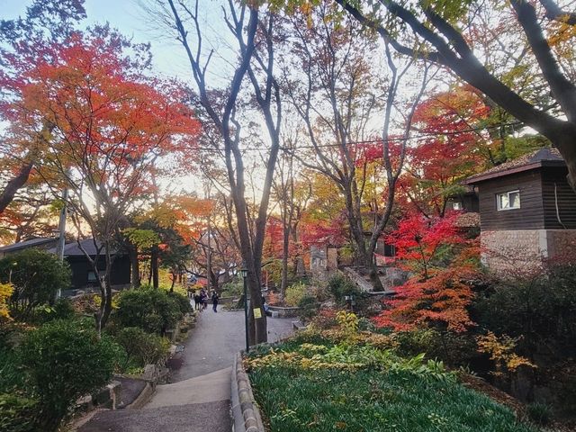 The magnificient autumn foliage at Gilsangsa