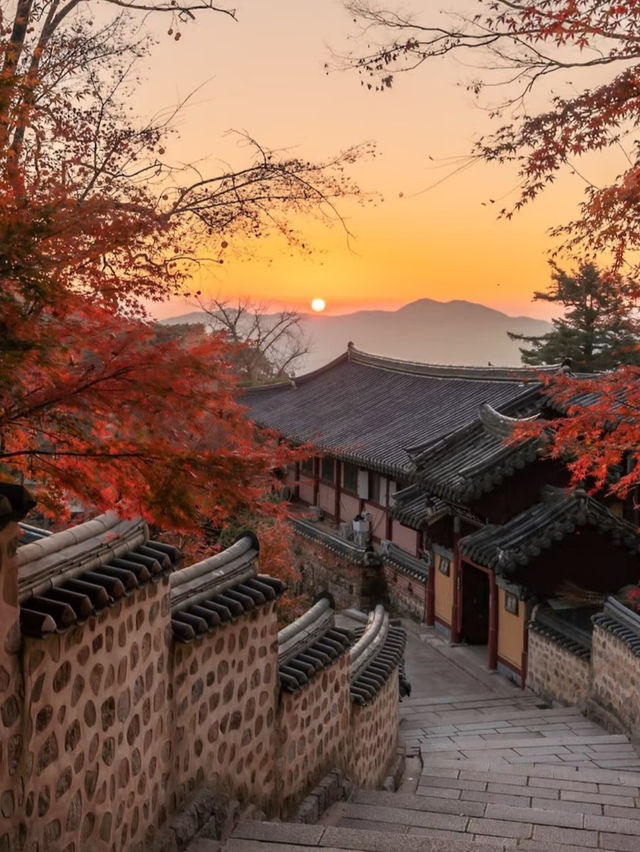  Beomeosa Temple: A Tranquil Escape in Busan