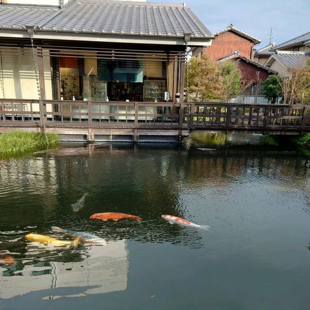 長崎観光！日本名水１００選の湧水「鯉の泳ぐまち」