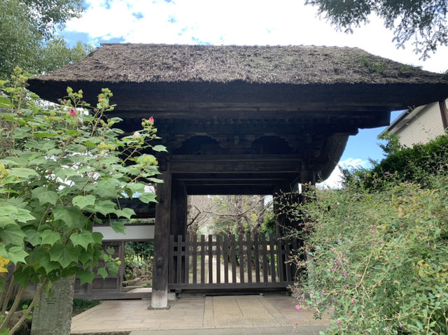鎌倉観光　極楽寺