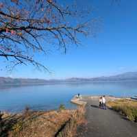 秋田縣能量景點，日本最深的湖泊：田澤湖