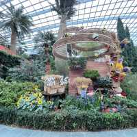 Explore the beauty of Flowers Dome of Singapore Garden by the bay