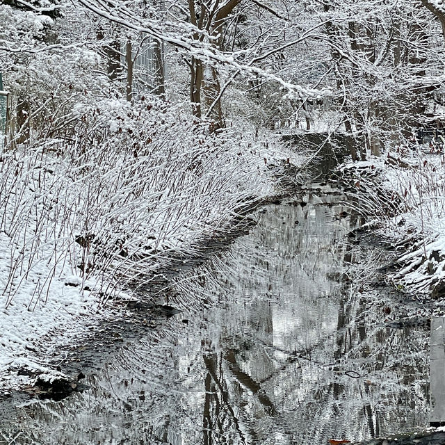 Where Innovation Meets Snow’s Legacy