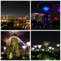 3 พิกัด เที่ยวชม แสง สี เสียง ยามค่ำคืน สิงคโปร์