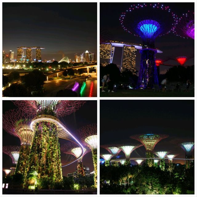 3 พิกัด เที่ยวชม แสง สี เสียง ยามค่ำคืน สิงคโปร์