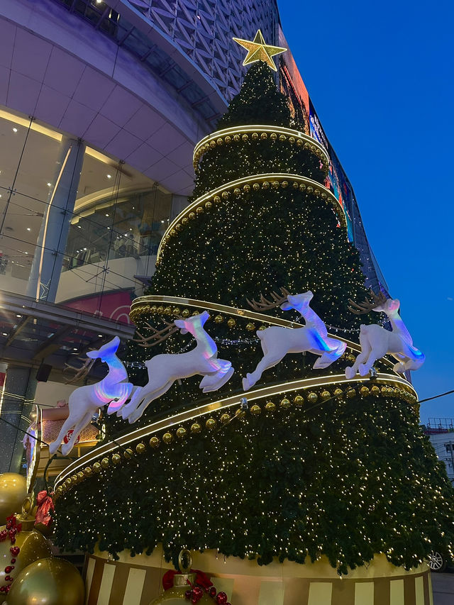 ✨🎄 𝐌𝐀𝐘𝐀 𝐂𝐇𝐑𝐈𝐒𝐓𝐌𝐀𝐒  🌲✨