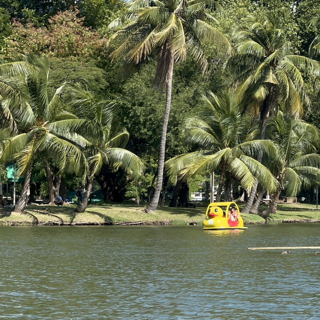 Bangkok activities 