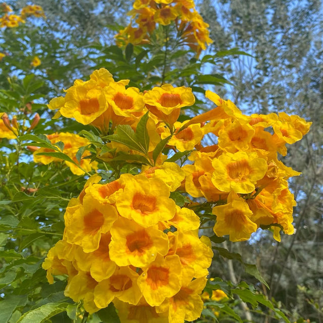 福岡市動植物園：自然的奇妙🌿🦁