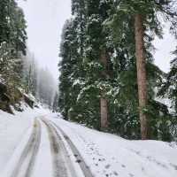 กุลมาร์ค (Gulmarg) @แคชเมียร์
