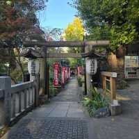 Ueno Park2024
