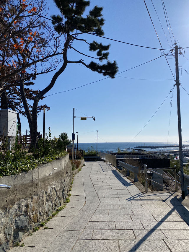 포항 필수 여행코스💙 구룡포 일본인 가옥거리