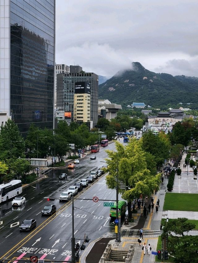 서울시청 근처, 광장을 지난다면 서울도서관 추천!