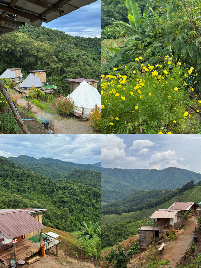 ม่อนแม่เติ๊ก | จ.แพร่ 🏡⛰️✨🌳