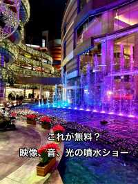 これが！無料？夜のショーは必見！