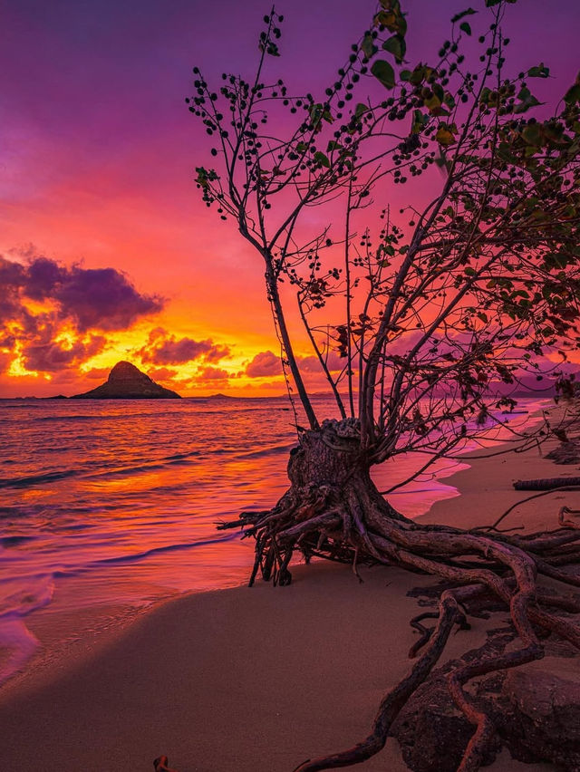 Why You Need to Book a Trip to Hawaii ASAP