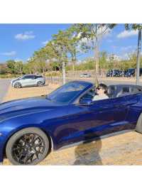 가성비 끝판왕 여행지🚘🌴