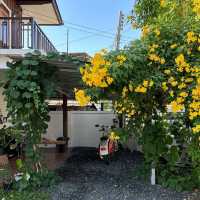Once Again Hostel in Chiang Mai
