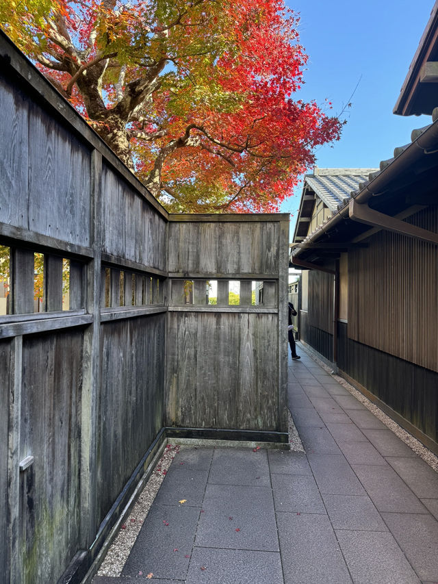 12月でも紅葉が楽しめる熱海の美術館