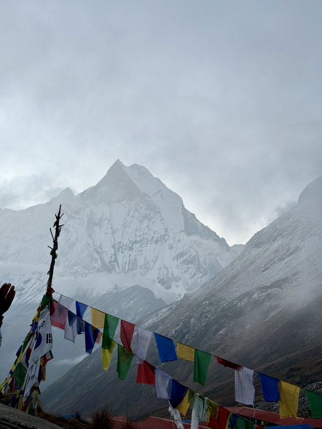 Nepal Trip 12 days | 🥾Poonhill and ABC 9 days 🏔️
